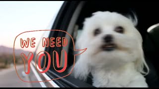 Make a difference to the planet – and win cash!