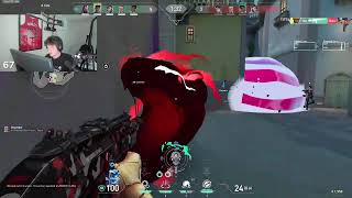 Zander Astra Pearl RADIANT SMOKES