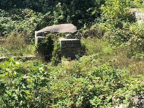 Buruienile antice din CALLATIS - Mangalia