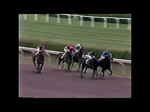 Woodbine - 1990 Kennedy Road Breeders' Cup Stakes (Twist The Snow)