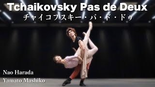 Download lagu 【本気バレエ #17】チャイコフスキー・パ・ド・ドゥよりアダジオ＆コーダ | Tchaikovsky Pas de Deux (Adagio and Coda) mp3