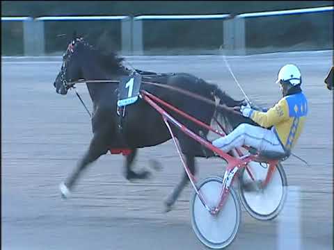 Trotto 17/01/2020 - 4ª corsa