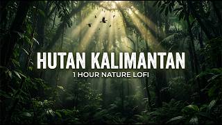 Download lagu 1 Hour Hutan Kalimantan • Suara Alam & Lofi Beats untuk Konsentrasi | Nusantara Lofi mp3