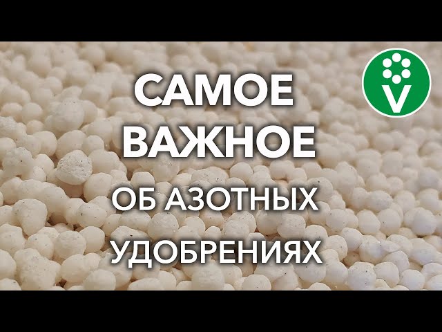 КАКИЕ АЗОТНЫЕ УДОБРЕНИЯ ВНОСИТЬ ВЕСНОЙ, А КАКИЕ ТОЛЬКО ЛЕТОМ? Виды удобрений, правила внесения