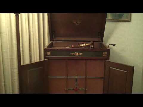 TED WEEMS PARKER GIBBS - SHE'S GOT 'IT' - ROARING 20's VICTROLA 8-9