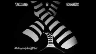 Downshifter - Tribute 2 Neelix