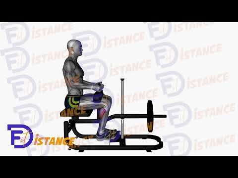 Exercice Mollets assis à la machine