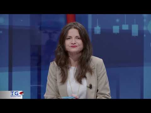 Telegiornale ore 19.30 – 14/12/2025