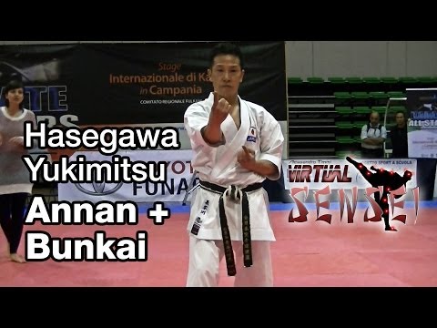 Hasegawa Yukimitsu teaching kata Annan (Ryuei ryu) + bunkai - Karate All Stars 2013