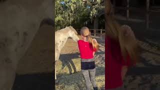 Download lagu thankfully his breeder offered to take him back🥰 #horse #sterstallion #filly #horsescout #horseworld mp3 Download lagu thankfully his breeder offered to take him back🥰 #horse #sterstallion #filly #horsescout #horseworld mp3