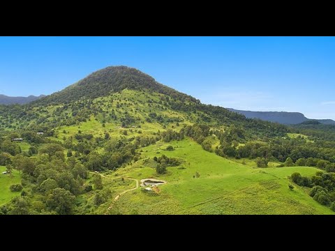 Yowie ( Bigfoot ) sighting at Limpinwood NSW Australia