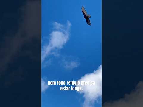Morro Redondo: um lugar simples que desacelera a mente. #interiordobrasil #riograndedosul