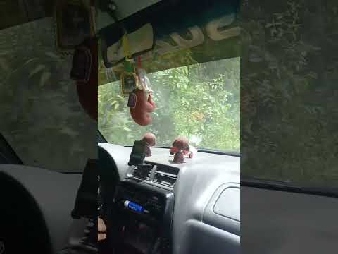 Momentos con mi cholito...San José...Chanchamayo Junín