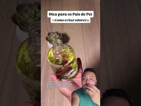 Olha essa misturinha para os papais de pet!#ilhabela #saopaulo #dicas