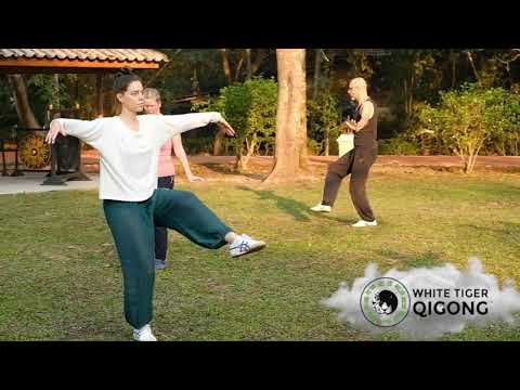 Crane Flaps its Wings Qigong