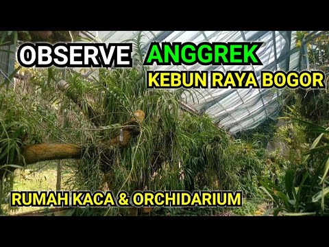 , title : 'Jenis Jenis Anggrek di Rumah Kaca Kebun Raya Bogor'