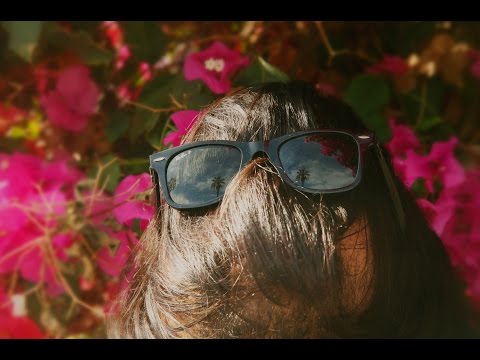 Honus Honus - Oh no!