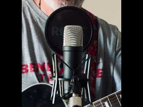 RODE NT1 Signature Cardioid Condenser Microphone 2024 - Present - White image 11