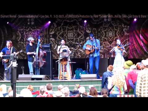 Elephant Revival - Suwannee Springfest - Live Oak, Fl.  3-22-201