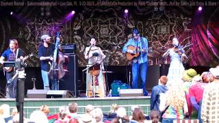 Elephant Revival - Suwannee Springfest - Live Oak, Fl.  3-22-201