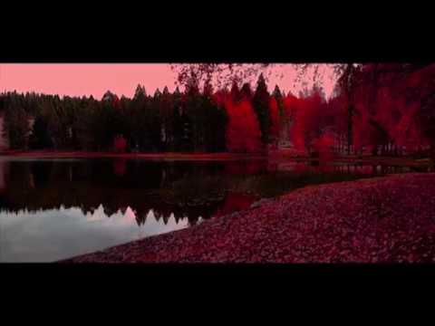 Fall of the Leaves - Lucas P. (Video)