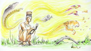 ¿Por qué el Amazonas es tan importante?