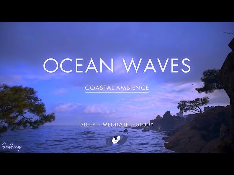 Ocean Waves By The Coast | No Ads | Relaxing Ocean Sounds For Sleeping