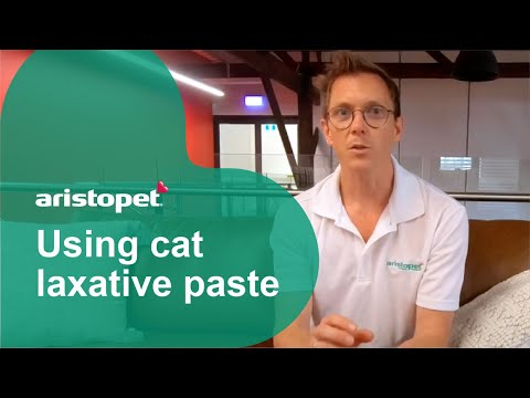 Using Cat Laxative Paste