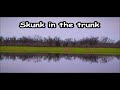 Skunk in the Trunk
