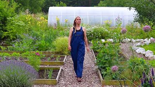 The Garden in July 🌿 Garden Tour, Propagating Lavender, and Planting Berry Bushes