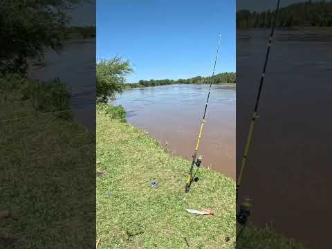Pesca y Cocina LOS GOMEZ CHICO, Ríos Crecidos, Tucumán #Pesca #pescaycocina #fishing #fish #dorados