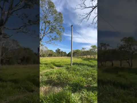 62-9-8305-7960  - Propriedade Premium 8,6 alqueires #corretagem #df #fazenda #gado