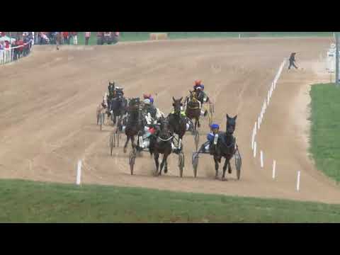 2018.04.07. Ügető 7 futam