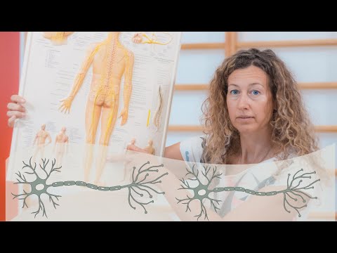 An Incredibly Helpful Routine For People Suffering From Multiple Sclerosis