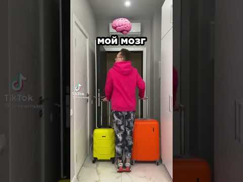 мозг на экзамене