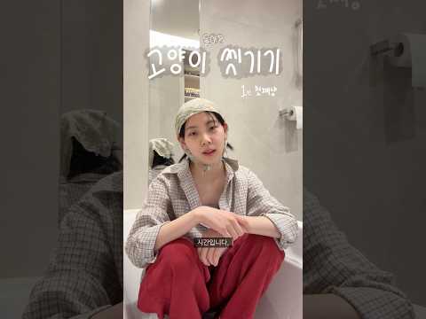 수속성 고양이 씻기기 간접 체험 [첫째 1편]