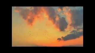 Download lagu Yanni - The ( Perfect ) Storm mp3