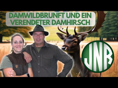 DAMWILDBRUNFT ! FEUERSTEINFELDER UND EIN VERENDETER DAMHIRSCH !!!!