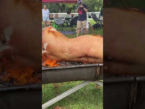 💥 Roasting a Whole Hog 🐖 🔥 🤯 pig Island 2023 🏝️