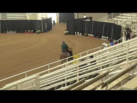 201001 Open Shawn W Flarida on PS Whizzin Colonel