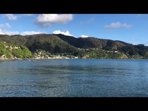 Starting a walk to Eastbourne from Lowry Bay