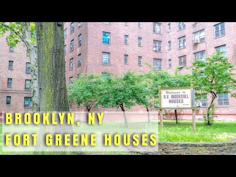 Fort Greene Project's | Brooklyn, NY #brooklyn #hoodvlogs #nyc