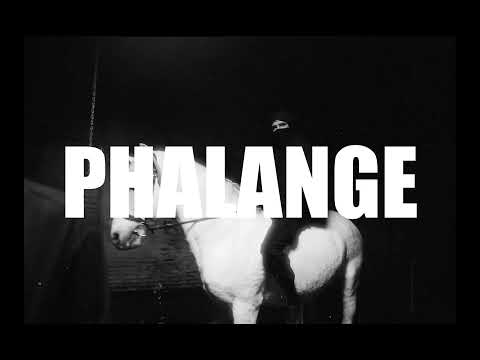 [F.R.] ALPHA WANN x DEEN BURBIGO Type Beat - "PHALANGE"