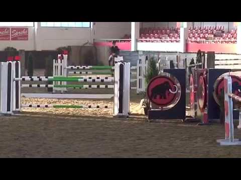 Chatender140 CSI** Linz 7yo (Chacco blue-conceder-Sandro)