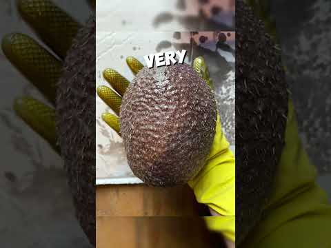 This poor hedgehog couldn't grow his quills 🥺💔 #shorts