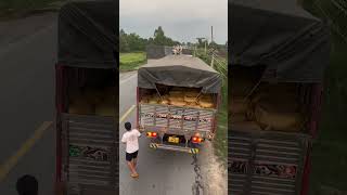 HỘI TỤ LẠI QUÁ TRỜI RỒI.HINO500