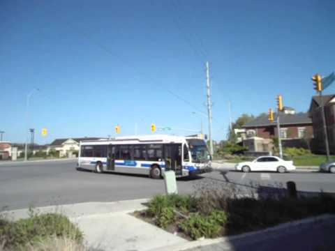 Brampton..father tobin and Torbram