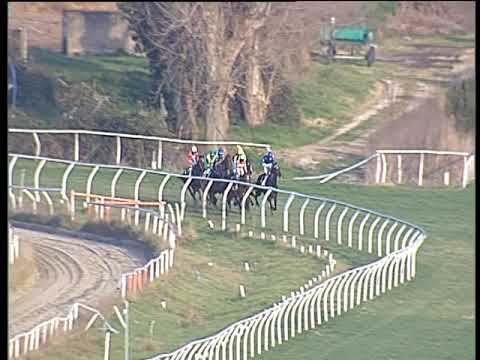 Galoppo 05/02/2019 - 2ª corsa