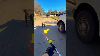 ¡RECIBIERON UNA DENUNCIA Y ENCONTRARON ESTA ESCENA!⚠️😱 #pitbull #dogs #animals