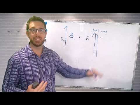 MRI Prep: Longitudinal vs Transverse Magnetism in MRI